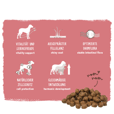 Thumbnail 6: bosch Tiernahrung HPC Mini Lamm & Reis – Trockenfutter – Immun-Komplex – 1kg