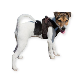 dogogo Softgeschirr für Hunde