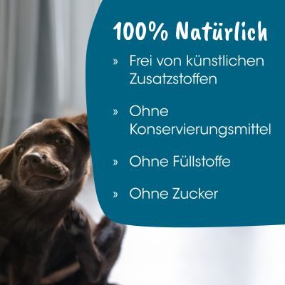 Thumbnail 2: cdVet VeaVet WundEx Spray 100 ml – Natürliche Pflege für empfindliche & beanspruchte Haut