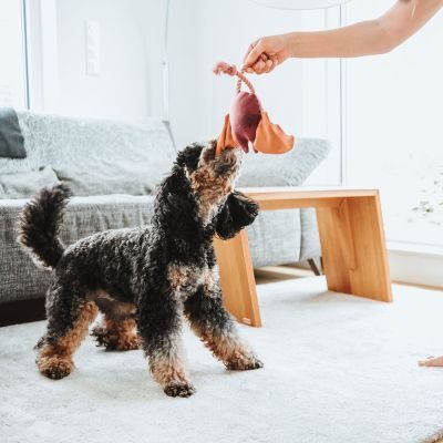 Thumbnail 4: HUNTER Hundespielzeug Rio Feldmaus mit Tau 25 cm