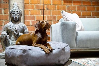 Thumbnail 1: ANUBIS orthopädisches Hundekissen Kano Hexagon Basalt