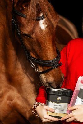 Thumbnail 2: Equanis MuscleActive - Muskelaufbau Pferd