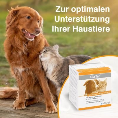 Thumbnail 2: alfavet Dia Tab zur Regulierung der Verdauung & Darmflora – Kautabletten mit Präbiotika für Hunde und Katzen 20 x 5,5 g
