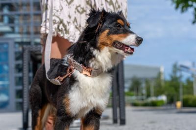 Thumbnail 3: Lucky Hearts™ Halsband Rosé  Beige / XS