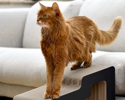 Thumbnail 8: cat-on KAIDAN Design Katzentreppe, schwarz matt (013x)