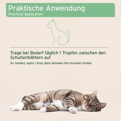 Thumbnail 2: AniForte Ectoprotex Spot-on für Katzen
