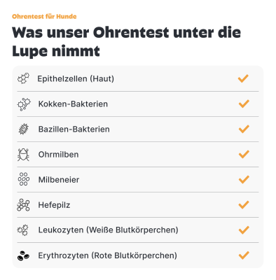 Thumbnail 3: Pezz Hunde Ohrentest | Bei wunden, juckenden oder riechenden Ohren