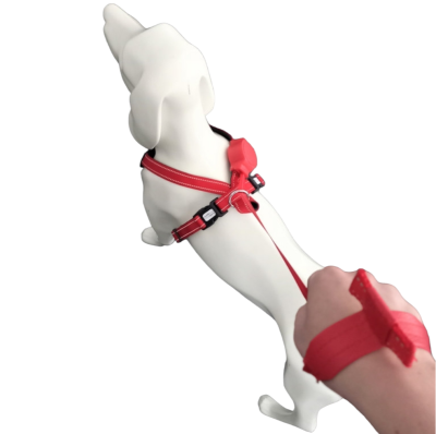 Thumbnail 7: doddle for dogs Hundegeschirr mit integrierter Leine Gr. L