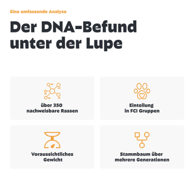 Thumbnail 1: Pezz Hunde Rassebestimmungs DNA-Test | Resseanalyse auf 1% genau