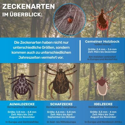 Thumbnail 4: BluePet Zeckenkarte mit Lupe: Zeckenentferner im Scheckkartenformat: Entfernung von Zecken bei Mensch & Tier I Tick Card erste Hilfe to go für Hunde, Katzen