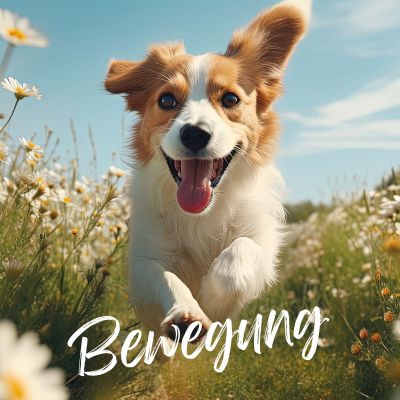 Thumbnail 5: TJURE TJURE - Gelenk Liquid - 250 ml | optimale Unterstützung für die Gelenke | Kräftigung der Gelenkfunktionen |