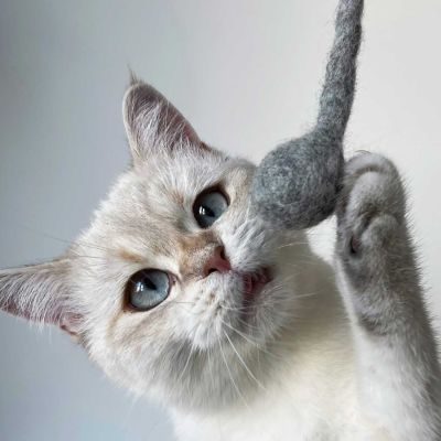 Thumbnail 2: stylecats® Katzenspielzeug Bombs 13 cm, grau