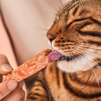 Thumbnail 2: Lucky-Kitty Filet-Sticks Lachs Premium-Qualität 20 x 22g