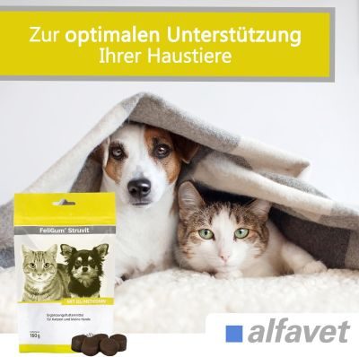 Thumbnail 4: alfavet FeliGum Struvit 160 g