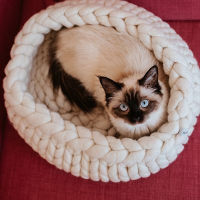 Thumbnail 3: stylecats® Katzenbett Boogie Color S (40 x 40 cm), weiß