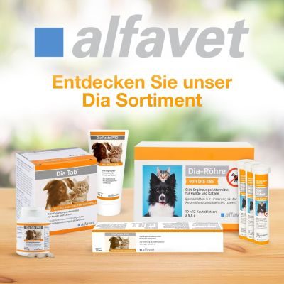Thumbnail 6: alfavet Dia Paste PRO 60 ml Injektor