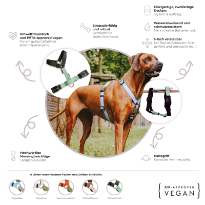 Thumbnail 4: Hey Lana Führgeschirr - Outdoor FLEX - 5-fach verstellbar mit Haltegriff Neonorange / Grün / S