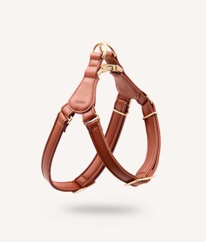 CAFIDE Hundegeschirr aus Veganem Leder, Jala