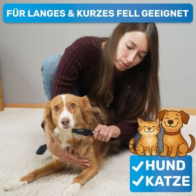 Thumbnail 7: BluePet Flohkamm & Flohkarte gegen Flöhe - Alternative zu Flohmittel, Nissenkamm - schonend Läuse, Nymphen & lose Zecken herauskämmen durch feine, enge Zinken