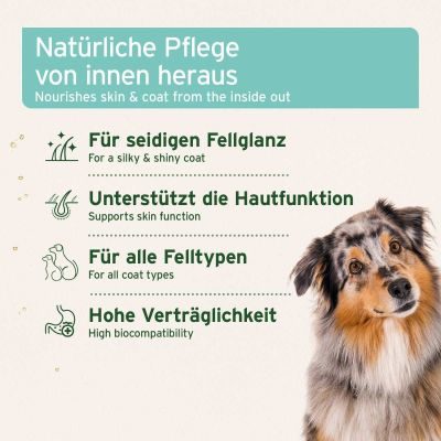 Thumbnail 2: AniForte Fellharmonie Futteröl