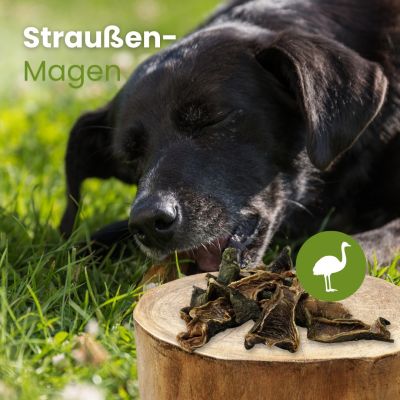 Thumbnail 2: kauartikel.com Straußen-Magen - Hunde-Kauartikel - Hunde-Snack - Hypoallergen-Kausnack - Leckerli vom Strauß