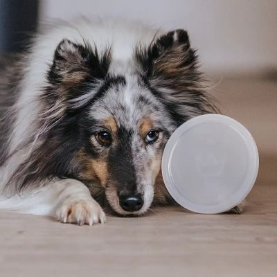 Thumbnail 5: Rudelkönig Frischhaltedeckel Dosendeckel - 3 Stück - Spülmaschinenfeste Frischhaltedeckel