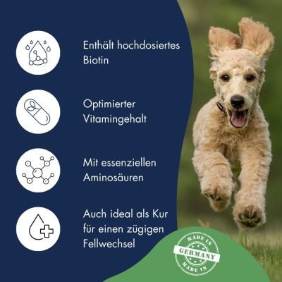 Thumbnail 3: Dr.Clauder’s Hair & Skin - Fell Plus Serum für Hunde 50ml