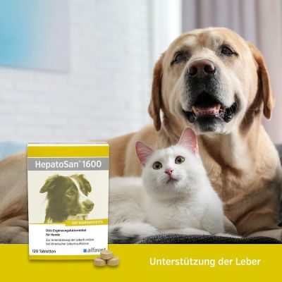 Thumbnail 2: alfavet HepatoSan 1600 120 Tabl.