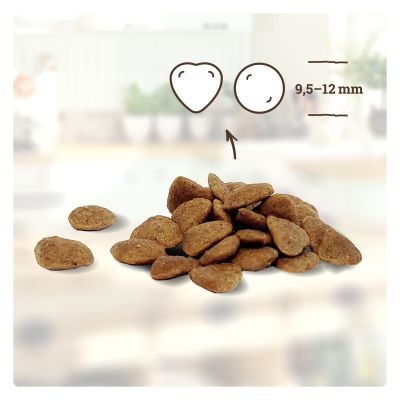 Thumbnail 4: Betty's Landhausküche Betty's Landhausküche für Katzen Trockenfutter Huhn & Forelle 1,4 kg