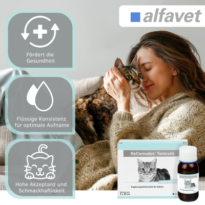 Thumbnail 6: alfavet ReConvales Tonicum Katze 6 x 45 ml