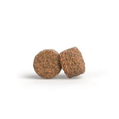 Thumbnail 2: Josera Mother & Puppy Salmon & Rice, glutenfreies Aufzuchtsfutter für Hündin und Welpe, 3x3kg