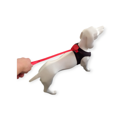 Thumbnail 5: doddle for dogs Leine rot für Hundegeschirr für große Hunde