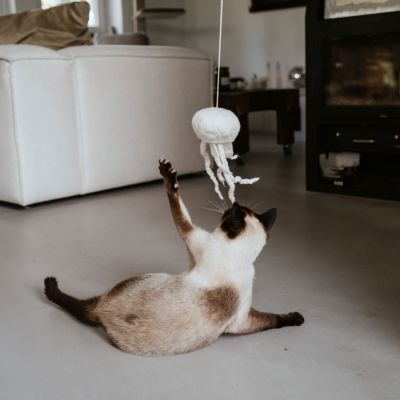 Thumbnail 3: stylecats® Katzenspielzeug Kwalle Karl mit Schnur weiss 10 cm