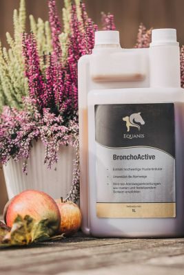 Thumbnail 7: Equanis BronchoActive – Atemwege Pferd