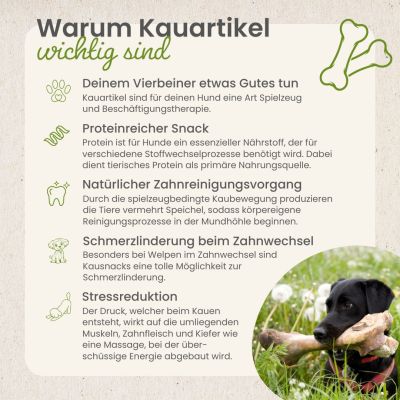 Thumbnail 6: kauartikel.com Kaninchen-Sticks - Hunde-Kauartikel - Hunde-Snack - Hypoallergen-Kausnack - Hasen-Leckerli