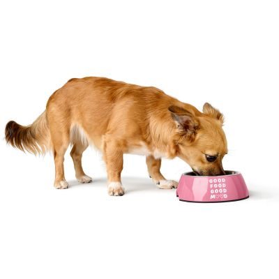 Thumbnail 9: HUNTER Melamin-Napf Chester 700 ml, pink