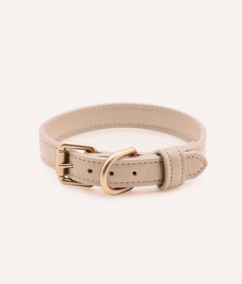 CAFIDE Hundehalsband aus Veganem Leder, Jala