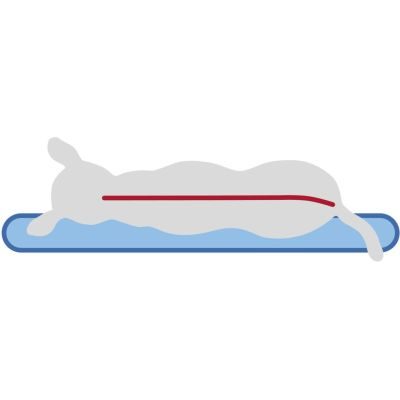 Thumbnail 5: TRIXIE Vital Kissen Bendson, oval 100 × 70 cm / Dunkelgrau / Hellgrau