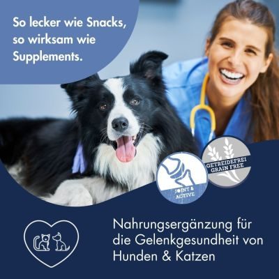 Thumbnail 2: Dr.Clauder´s Supplement Snack Joint & Mobility 150g