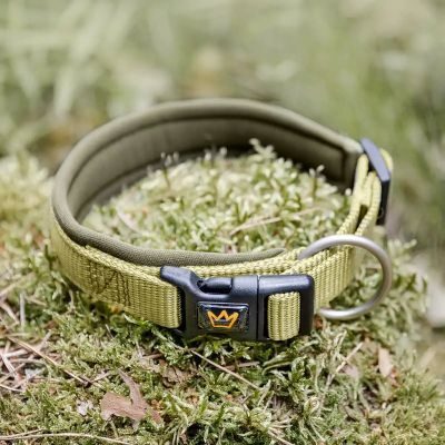 Thumbnail 6: Rudelkönig Hundehalsband Bella gepolstert, Robustes Hunde Halsband