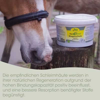 Thumbnail 4: cdVet EquiGreen Magenschutz 1,5 kg – Ergänzungsfuttermittel für Pferde zum Schutz von Magen und Schleimhäuten