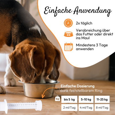 Thumbnail 7: PHA PetVet - PHA DarmPaste für Hunde und Katzen 15 ml - DurchfallStopp für Hunde und Katzen - Linderung akuter Resorptionsstörungen des Darms, bei und nach akutem Durchfall