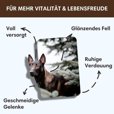 Thumbnail 4: Sollis Trockenfutter Pferd 12kg