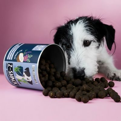 Thumbnail 4: Tierliebhaber Z-Snack für Hunde - Natürlicher Snack für Wald- und Wiesenspaziergänge