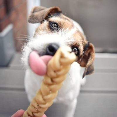 Thumbnail 4: kauartikel.com Büffelhaut-Zöpfe - Hunde-Kauartikel - Hunde-Snack - Büffel-Kausnack - Leckerli vom Rind - geflochtene Rinder-Haut