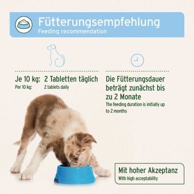 Thumbnail 3: AniForte AniForte® plus Fell & Haut