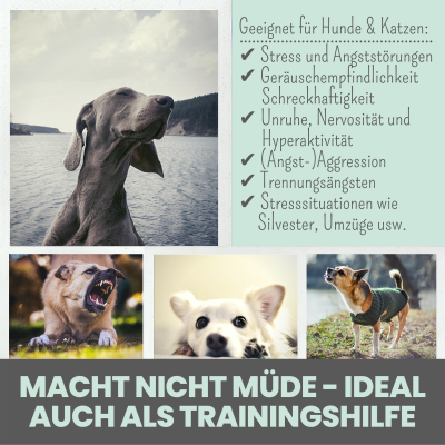 Thumbnail 2: Noms+ Wohlfühltabs für Hunde bei Stress, Angst, Unruhe und Hyperaktivität