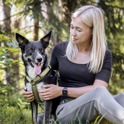 Thumbnail 2: Rudelkönig Gepolstertes Brustgeschirr mit Haltegriff, Verstellbares Hundegeschirr