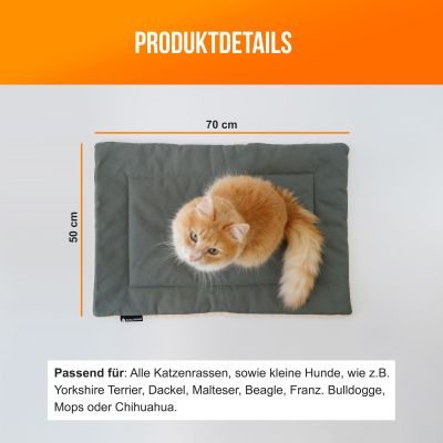 Thumbnail 5: SCHLITZOHR Katzendecke Minka