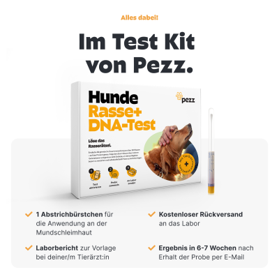 Thumbnail 3: Pezz Hunde Rasse & MDR1 DNA-Test - 1% genaue Rassenbestimmung inkl. MDR1-Analyse